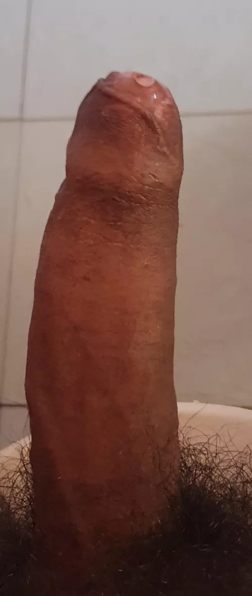 Let me know what u think;) by Cute-Blackberry-3173