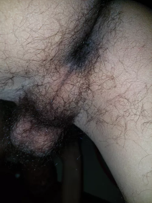 Let me sit on your face by rdnmGuy