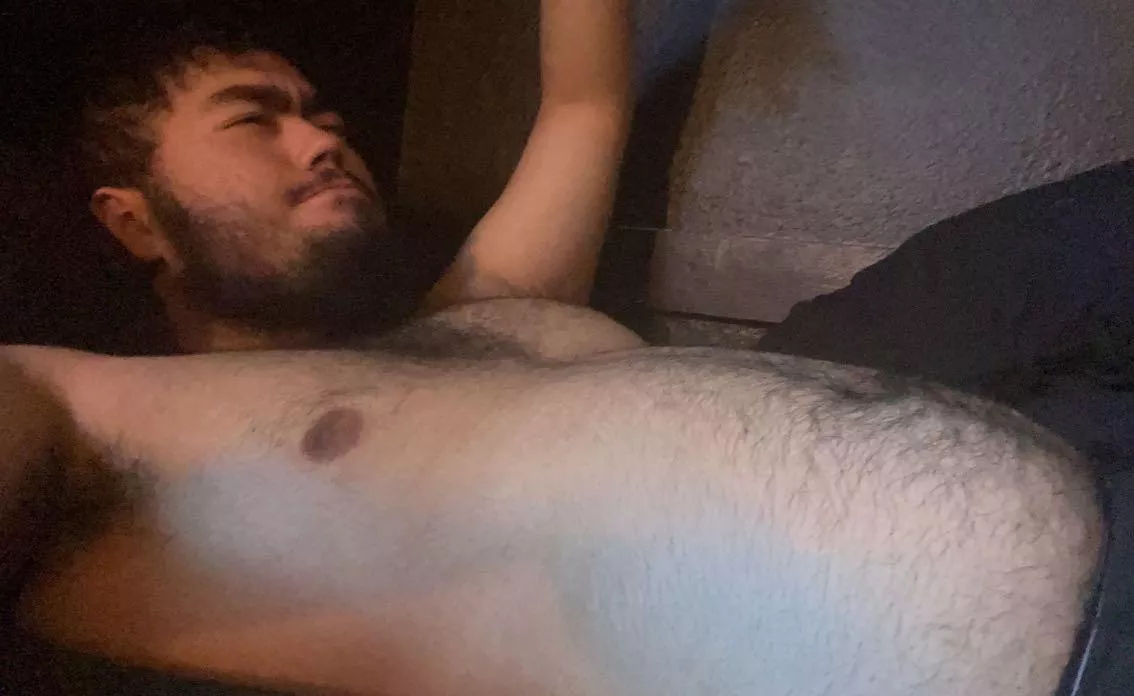 Let’s cuddle and watch pretentious horror films (19) posted by Hedgehog_Willing