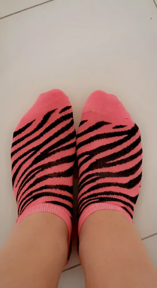 Let’s get wild baby by missfeetandfingers