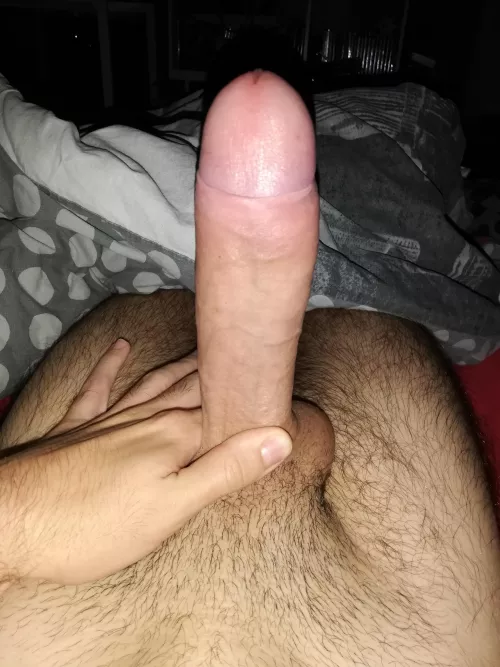 Let's go by MagnusGallus31