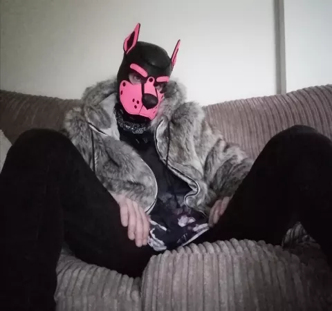 Let's hang out 🐾 by pinkpuppyjinx