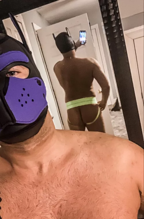 Let’s have some fun 🐶. Twitter: Pup__Blaze by Pup__Blaze