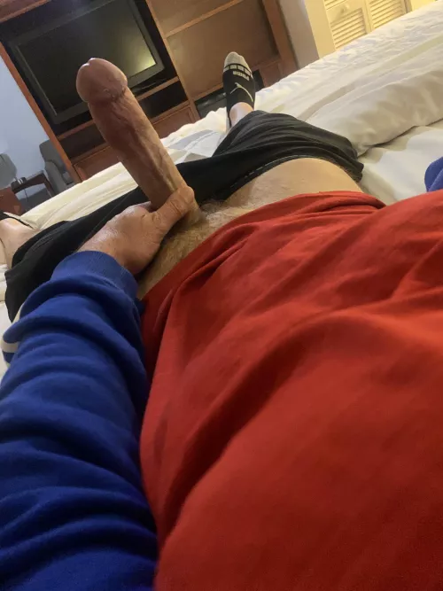 Let’s make a litter of nerds by googoofighter