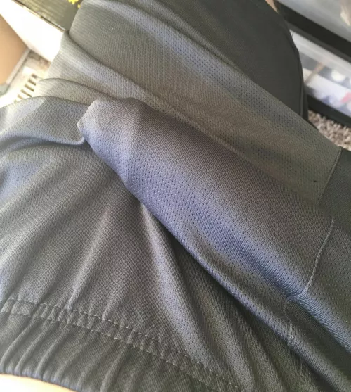 Let’s play? by Fresh_Will_4296