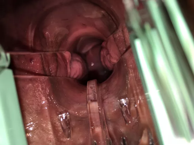 Let’s play Dr. by Alternative_Slide_77