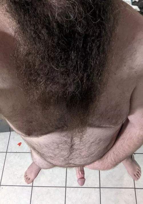 Let's play by daddlion6996