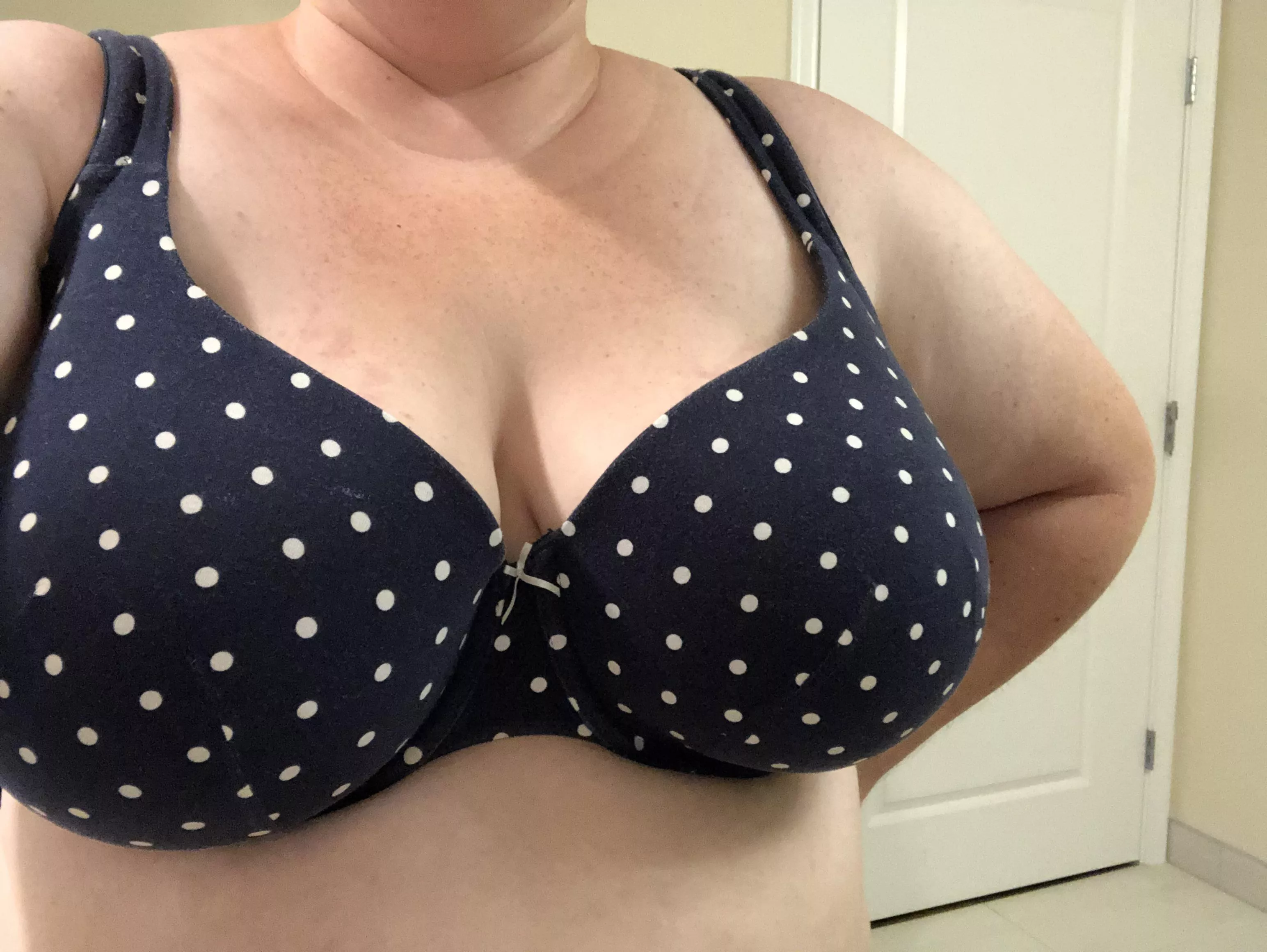 Let’s play hooky from work today. posted by Greedy_Cat_4794