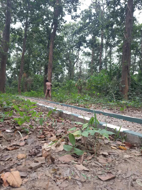 Lets start anothr Chipko Movement and save tres. by Animalslivenude