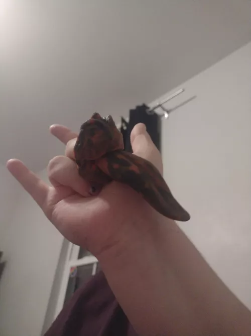 Let's talk Lil vibes. So I just received my Winston's tongue lil vibe in the mail today, and I've been trying to get my hands on another, since they're like my favorite toys, and I can't seem to find them anywhere. The only time I can get them is wh by SatisfactionWrong521