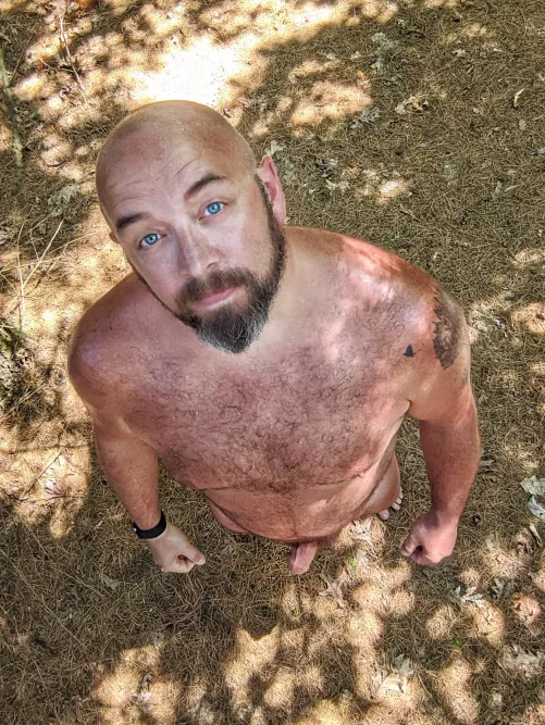 Let's walk in the woods together by sk1nandearth