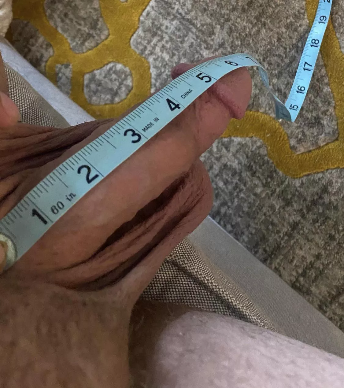 Letting him hang out and putting a measuring tape on it. posted by boredandplaying