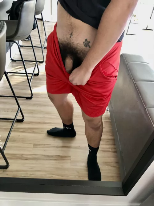 Letting the bush grow for the winter. by EitherParticular4