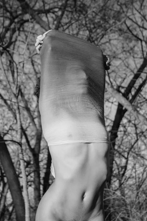 Letting the cage out of the bird by risapink93