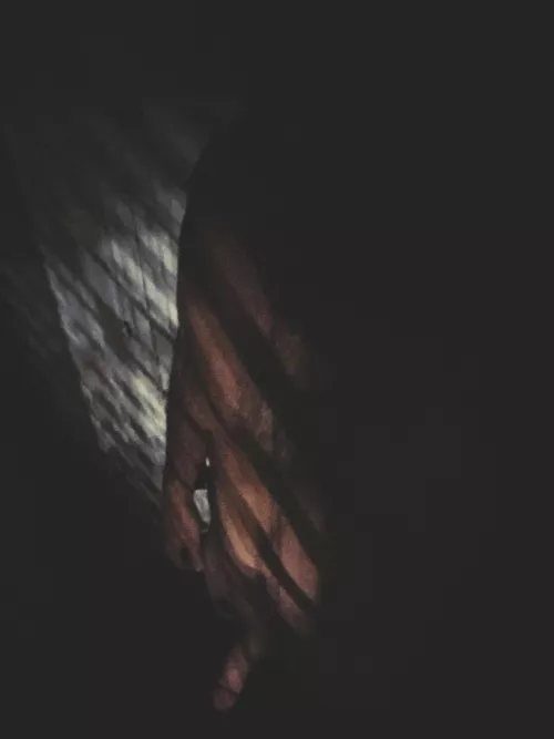 Letting the light in by DenofCanis7974