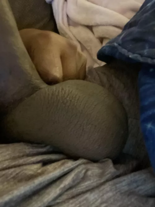 Letting them hang after a long day, anyone wanna taste? by Icecreamsandwitchh