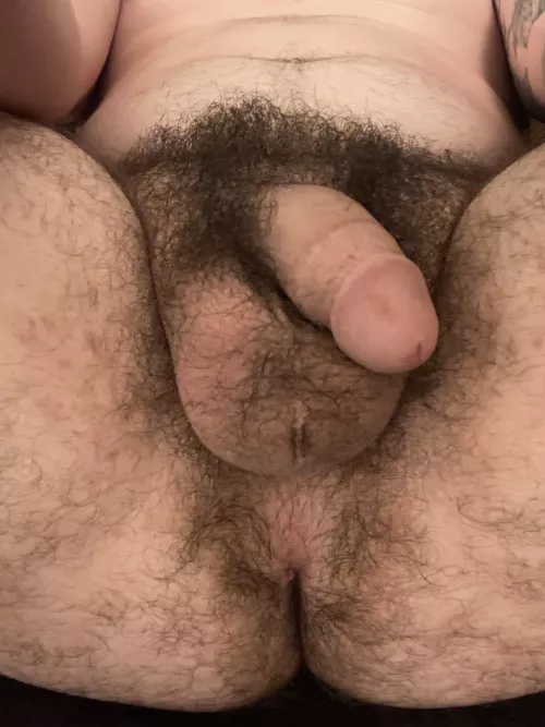 Letting things grow out. What do ya think? by mackdelpro