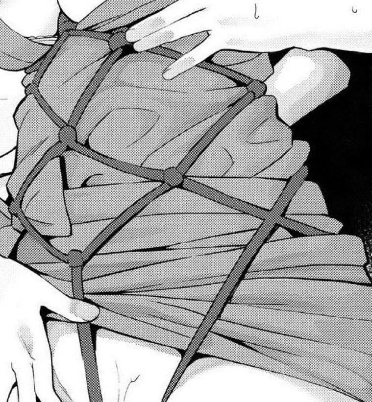 LF mono source: 1girl, 1boy, notext, crop, shibari, bow, dress posted by gg32641224