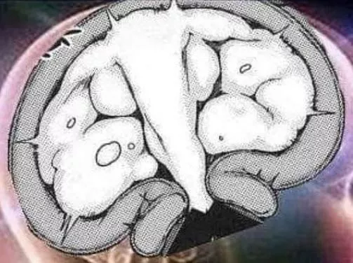 LF Mono Source: brain meme, close up, creampie, cum, ejaculation, uterus, womb, x-ray posted by HentaiSource_Archive