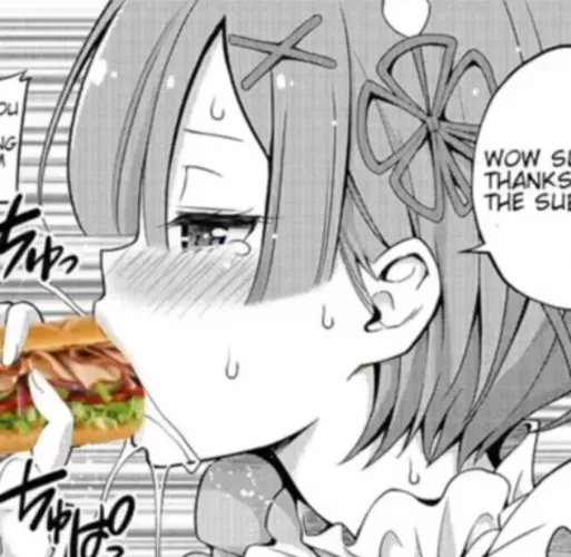 LF mono source: Re:Zero, blowjob, 1girl, penis, penis grab, short hair, blush, sweating, meme, subway by Real_May_Be_Spare