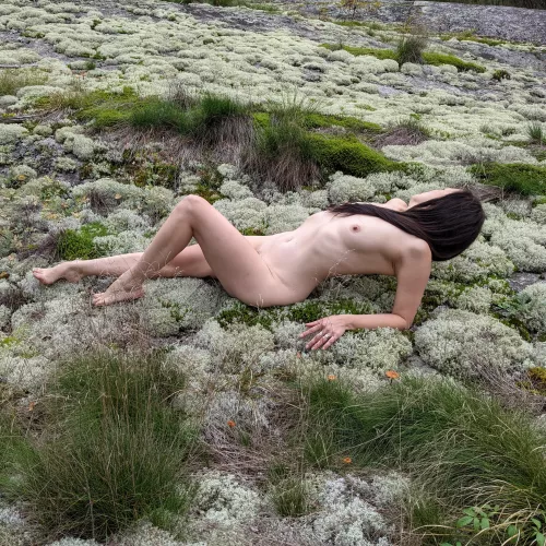 Lichen! Could you spookify? by DaddysCuriousKitty