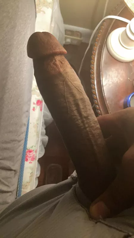 Lick it by Alternative-Ad1715