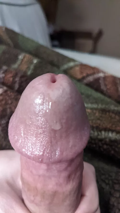 Lick it off by me_him_