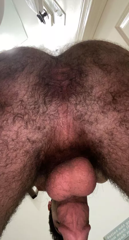 Lick my hairy hole while I’m sitting on u by AdStunning1001