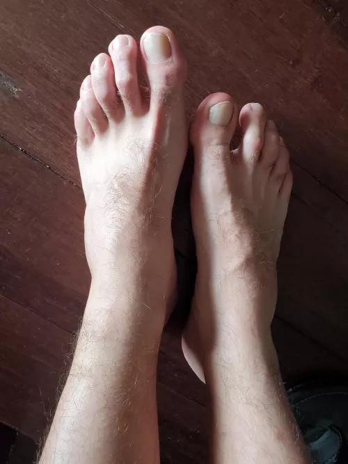 Lick my hairy toes by Norvino6140