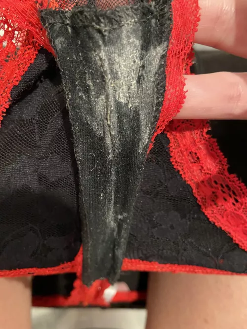 Lick or sniff? by Creamyqueen669