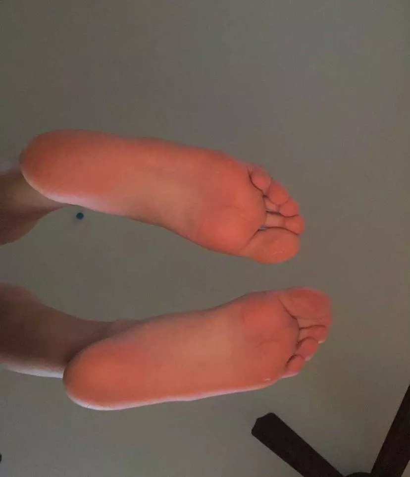 Lick them posted by Quiet-Bass-8521