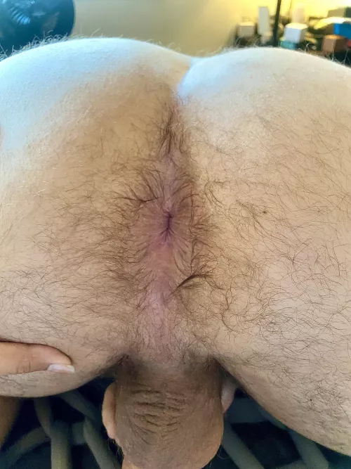 Licking my husband’s hole down to his balls by PolarBearxSeaOtter