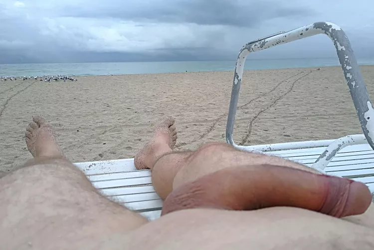 Life's a beach!😎 by Like2Show4U