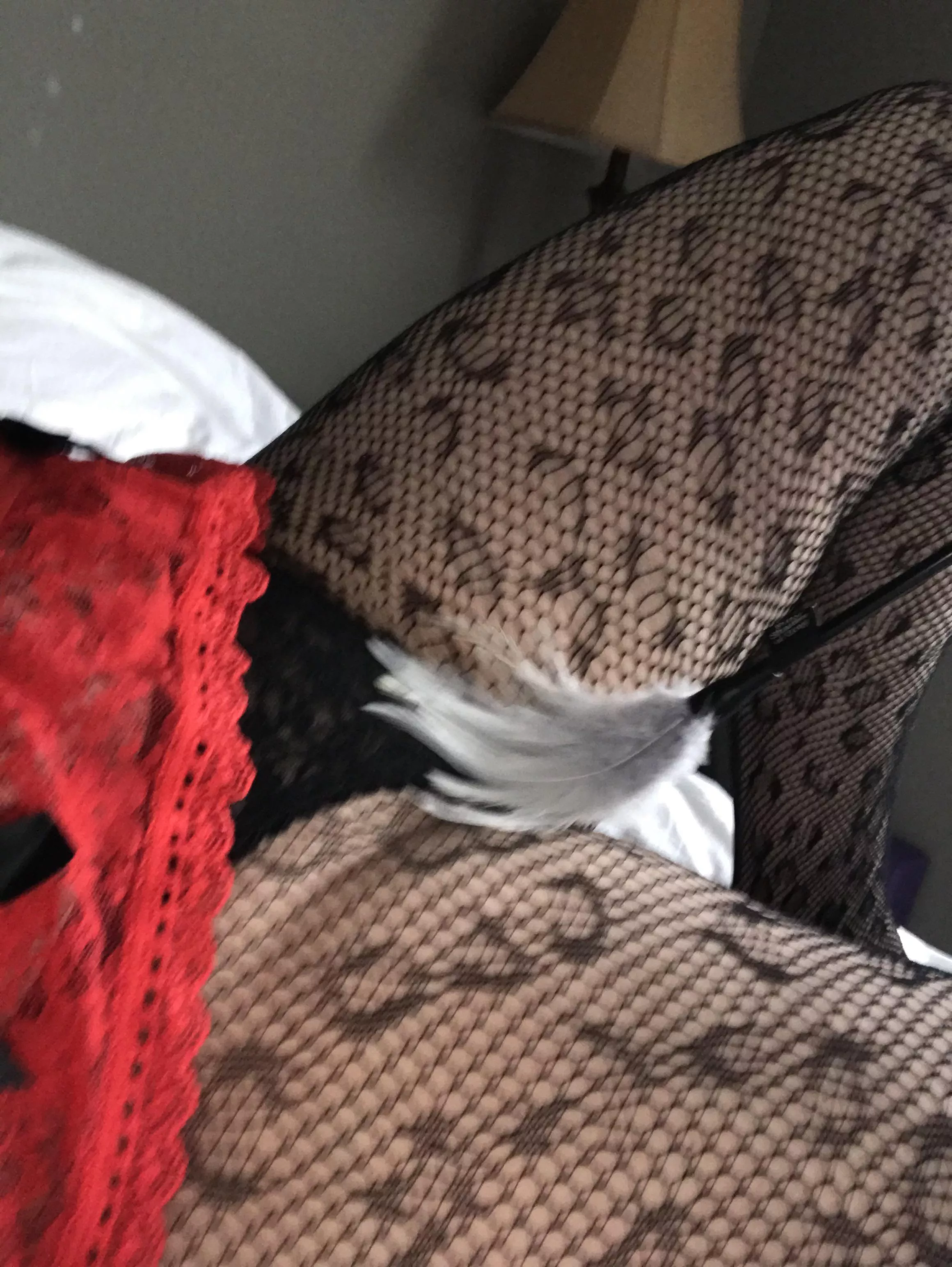 Light as a feather posted by AwakenedCheetah