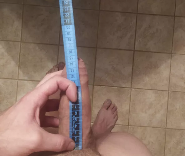 Like 15 X 15 flaccid by kaptk1