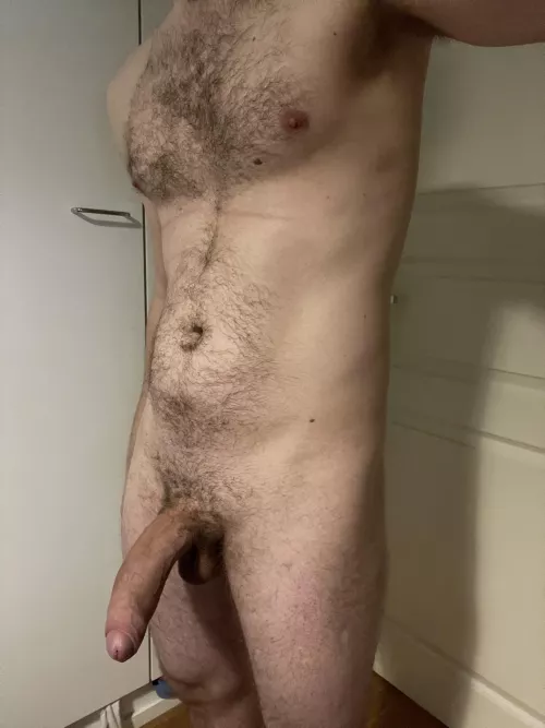 Like a horse by dirge_firm