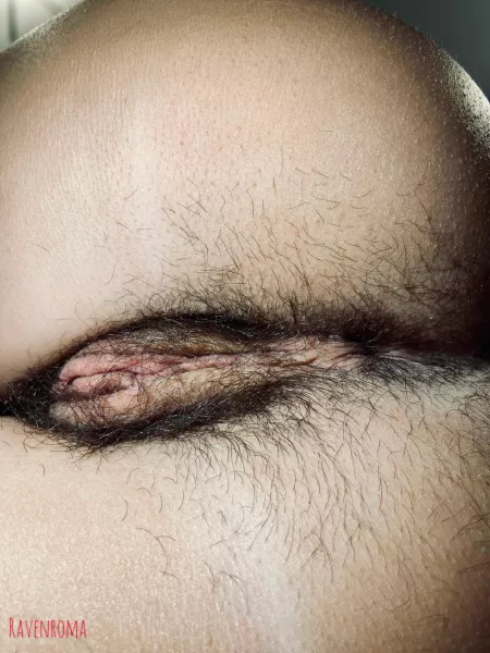 Like it? by RavenRoma