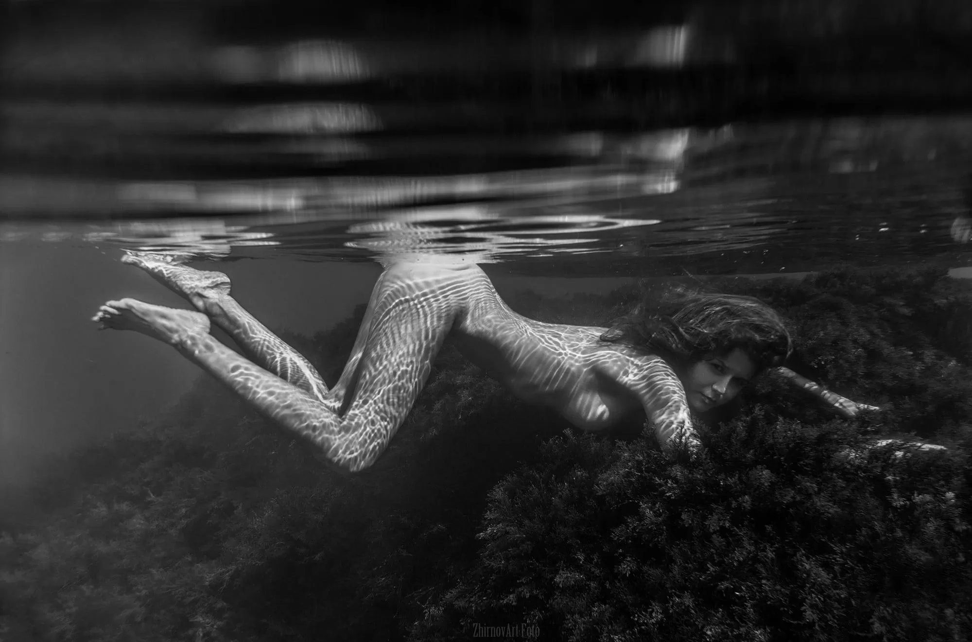 Like most wild females inhabiting the coastline and beaches of the preserve, this female's diet consists mainly of seaweed posted by Historical-Witness