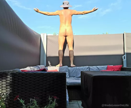 Like moths to a flame, climbing on top of furniture trying to chase the last bits of sun that remain for the day. 🔥🌞 by NudeLeaseOnLife