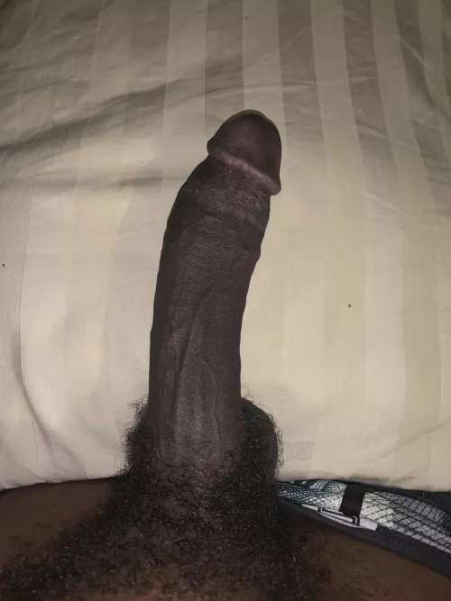 Like my bush? Carolina bro by hothead1400