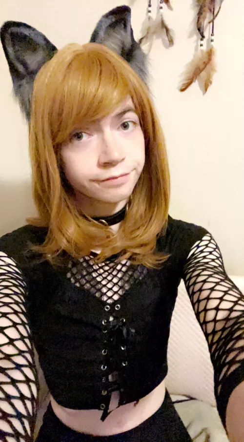 Like my new ears? by WolfPup7