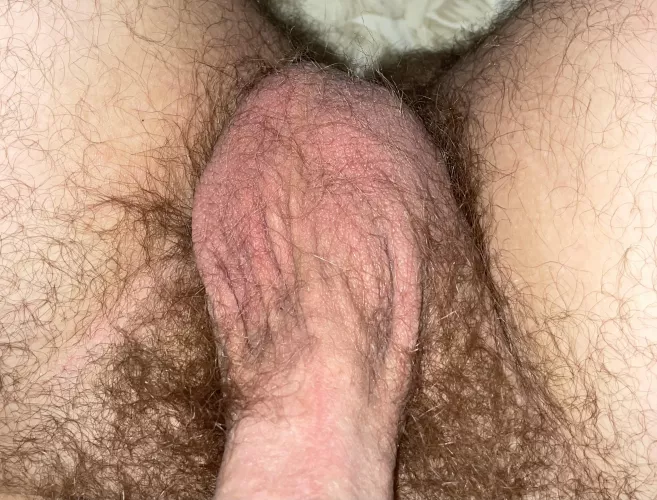 Like my pubes? by Gonk-Droid-Lover