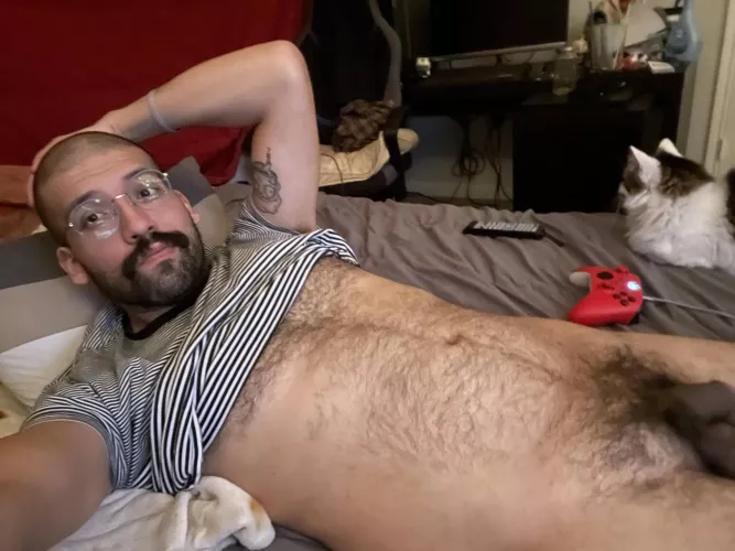 Like my pubes? by XanderMonday