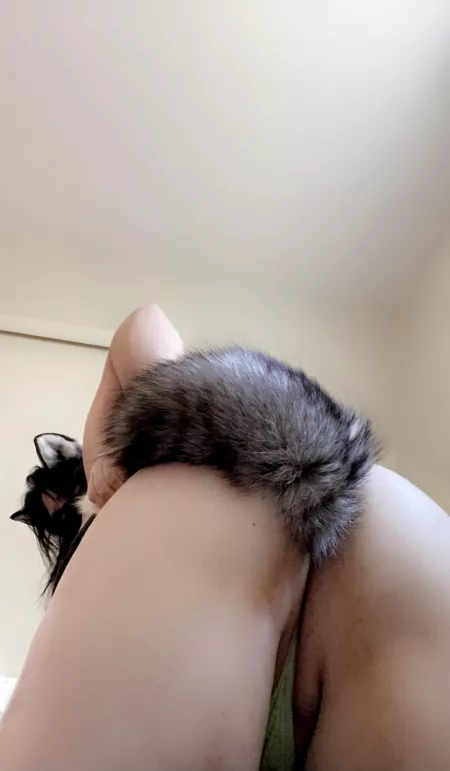 Like my tail sir? 😘 by marriesub