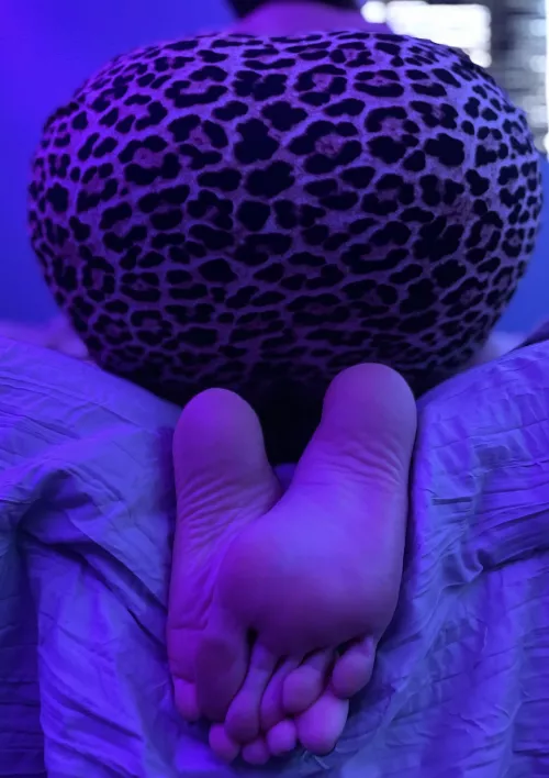 Like the view by scarlettkitten5