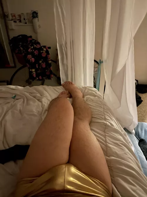 Like them? by biglizardlover88