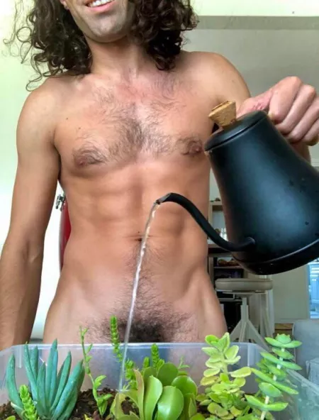 Like these plants, I need a little more sun in my life by Golden_Bare