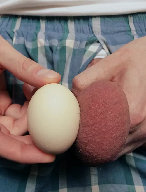 lil comparison by mrbigd1988