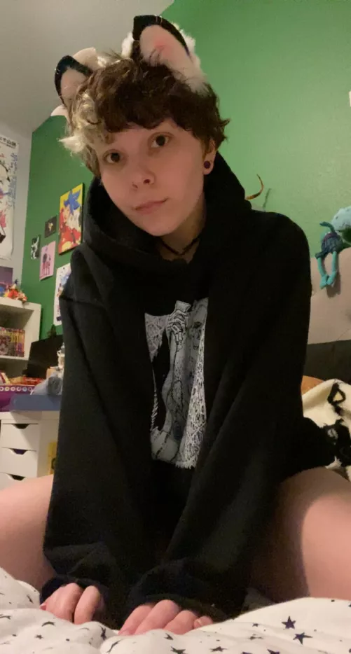 lil kitty boy by Hunchbackcat