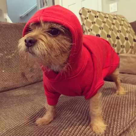 Lil Wicket about to drop the sickest beats of 2012 by earwaxmcgee